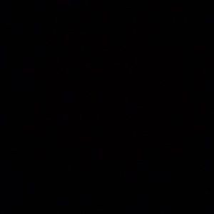 Meet your Posher, Paige